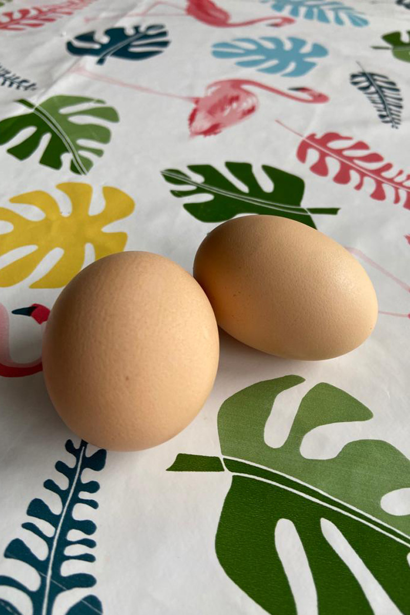 yumurta_sarisi11.jpg